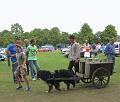 7de Crijtrally 28-7-2013 (256)